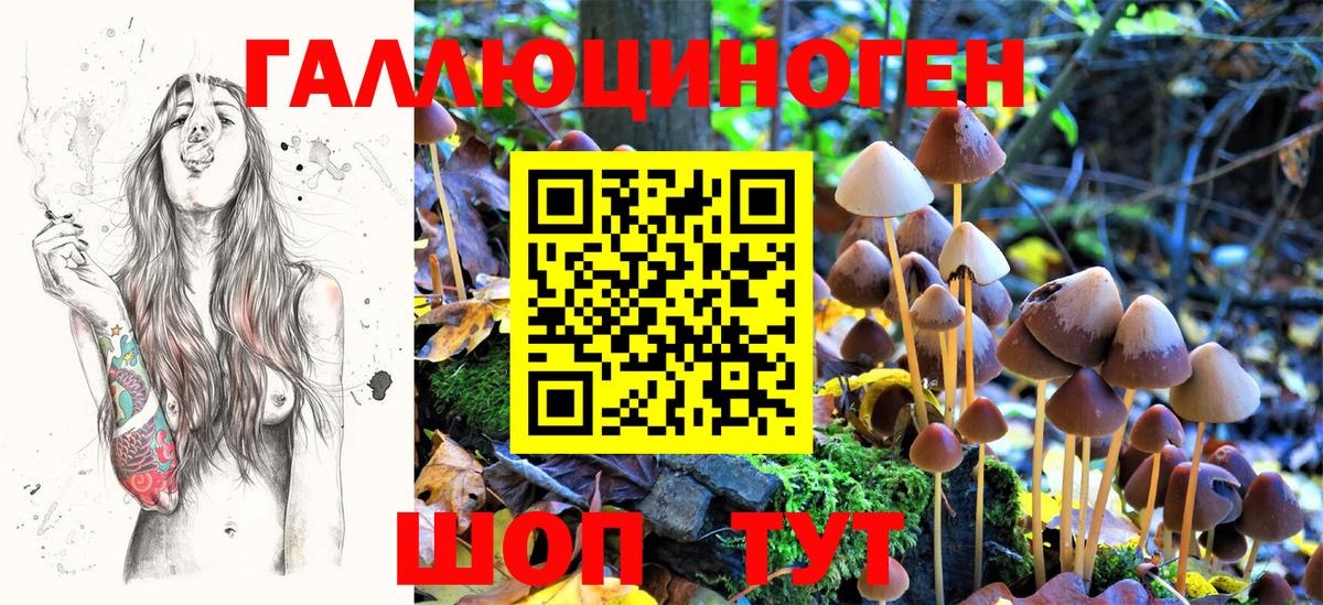 Галлюциногенные грибы Psilocybine cubensis  Вход с VPN  Тобольск 